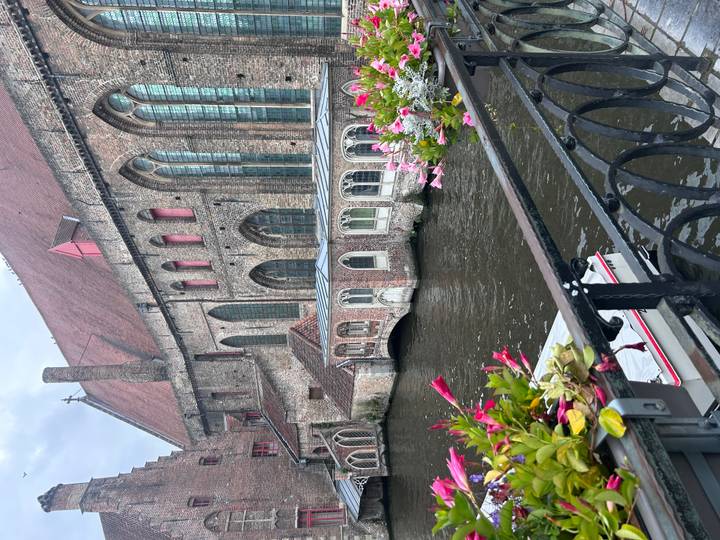 Ein malerischer Flussblick mit historischen Gebäuden und bunten Blumen.