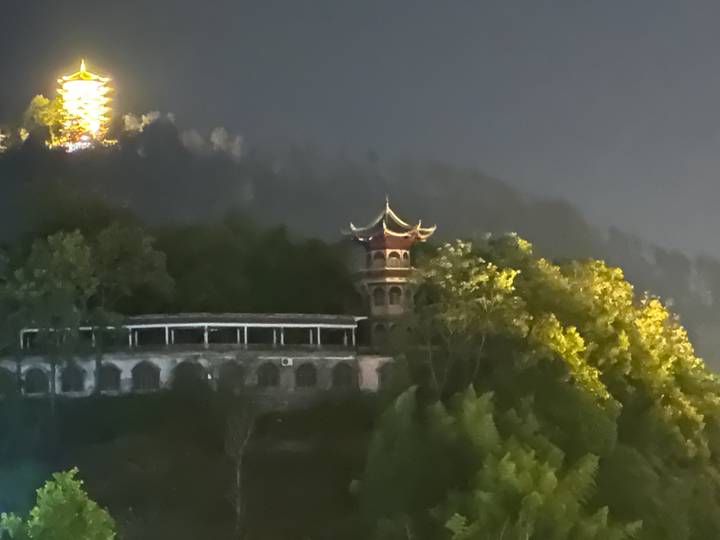 Prise de vue nocturne d'une pagode et d'arbres dans l'obscurité.