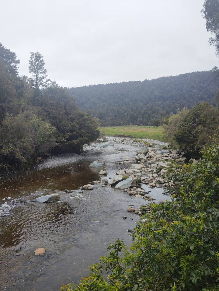 Río que fluye a través de una zona boscosa con rocas.