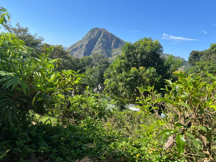 Ein Berg umgeben von üppigem Grün unter einem klaren blauen Himmel.