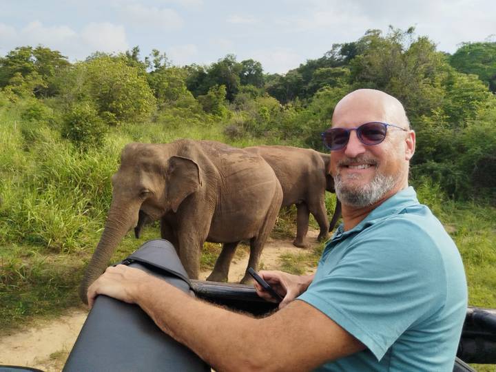 Un hombre en un vehículo con elefantes cerca.