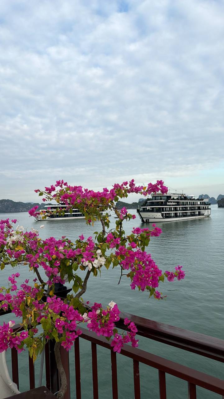 Cruiseboten op een baai met bloemen op de voorgrond.
