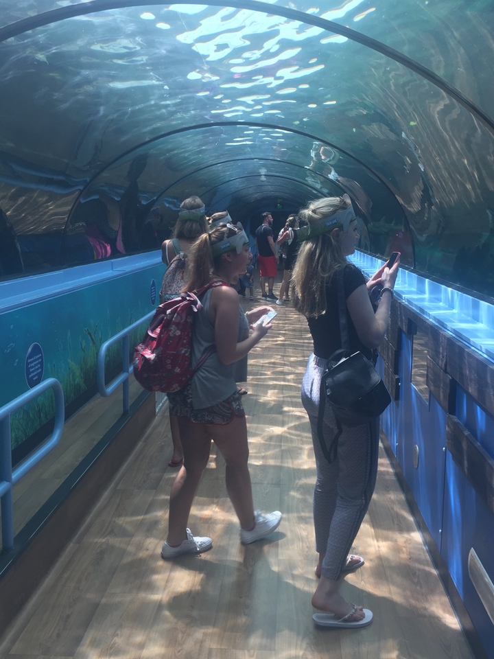 Visitors walk through an underwater tunnel at a public aquarium.
