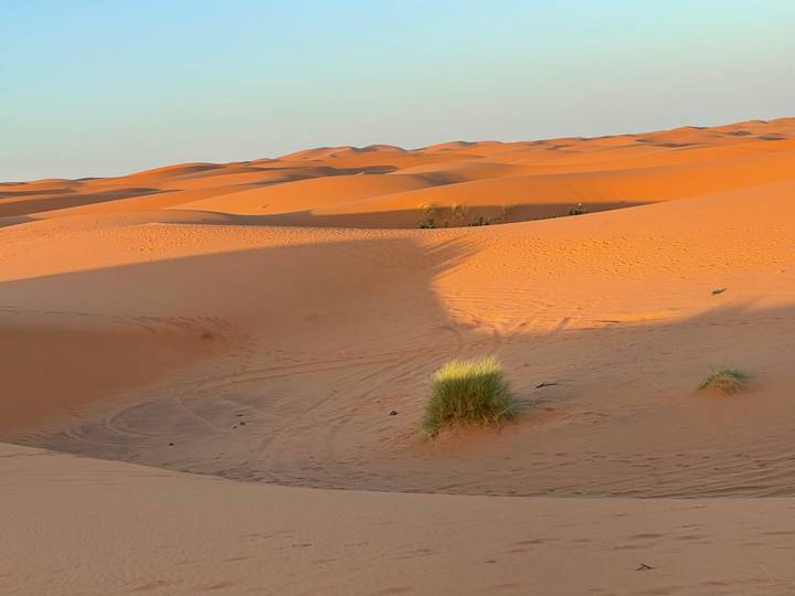 Dunes de sable dans un paysage désertique.