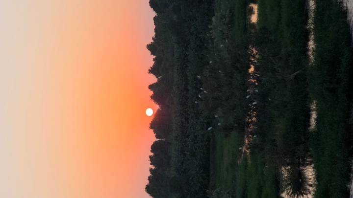 Coucher de soleil sur un paysage luxuriant avec des étendues d'eau visibles.