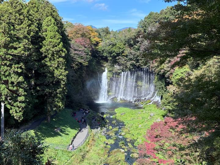 Waterfall surrounded by forest with people observing below.
