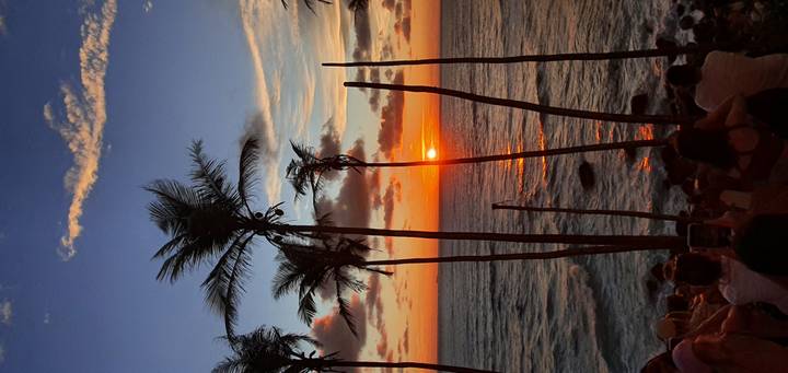 Atardecer sobre el mar con palmeras y personas en silueta.
