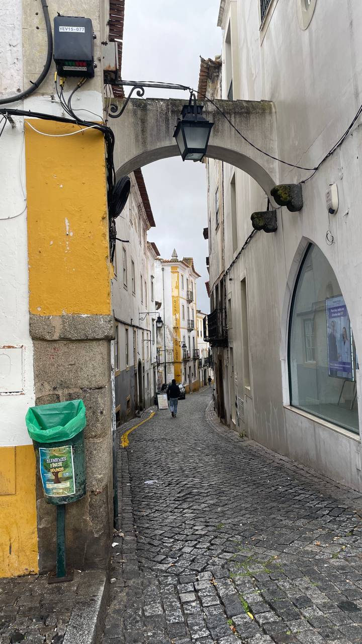 Pintoresca calle con edificios históricos y camino empedrado.