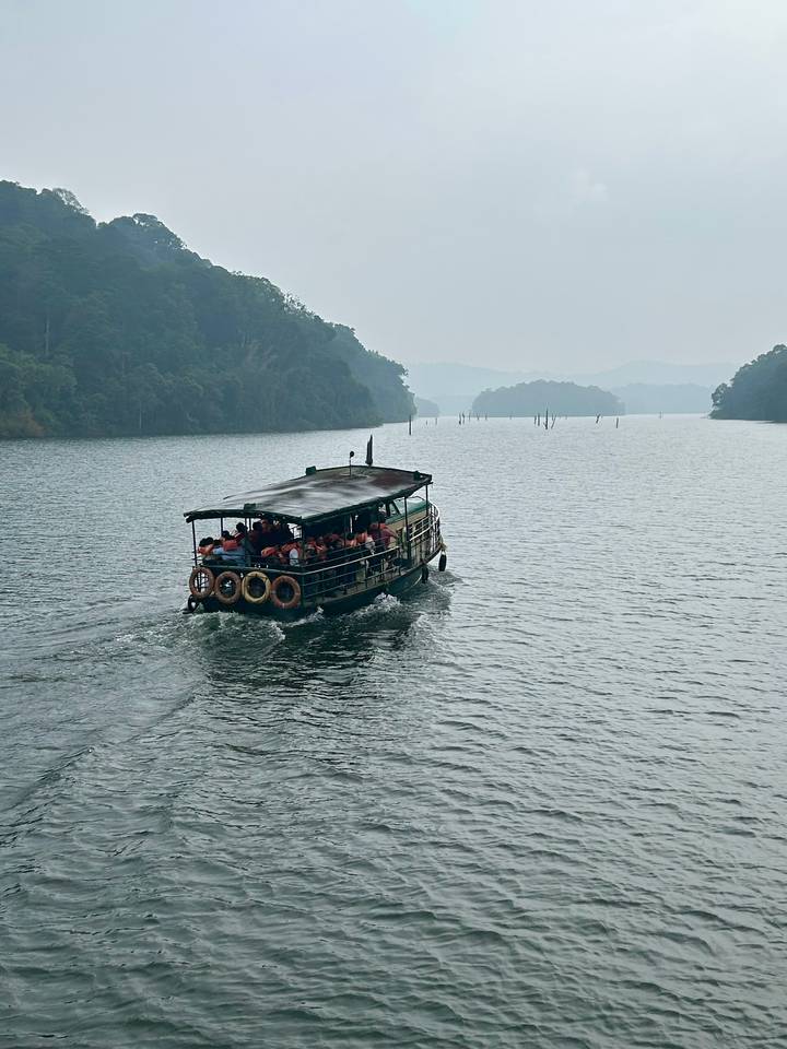 A group of people on a boat in a lake surrounded by forest.