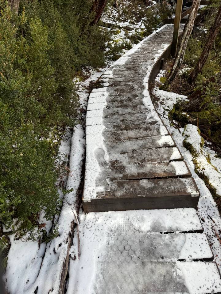 Un sendero de madera cubierto de nieve y hielo a través de una zona boscosa.