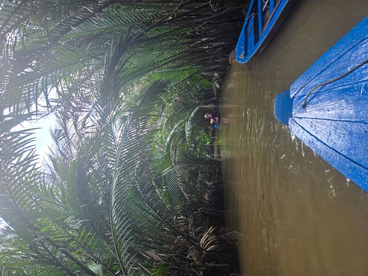 Kanu navigiert durch dichte Palmen auf einem tropischen Fluss.