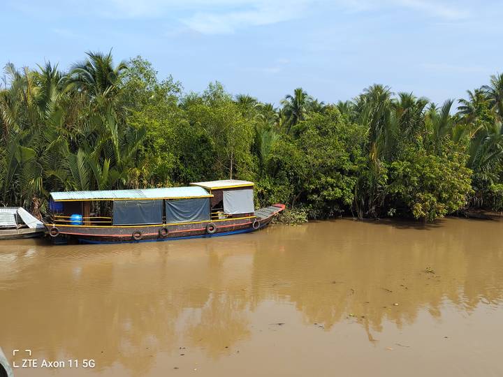 Bote de madera en un río rodeado de vegetación exuberante.