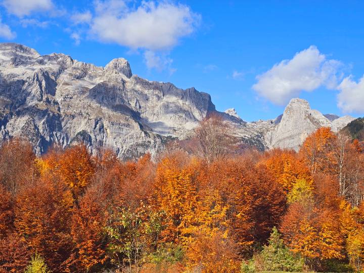 Colorful autumn trees juxtaposed against rocky mountains.