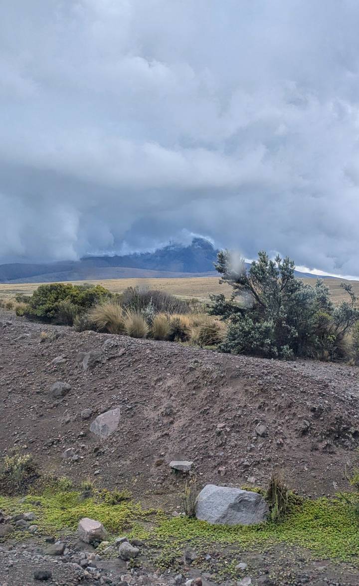 Paysage herbeux avec des montagnes sous un ciel nuageux.