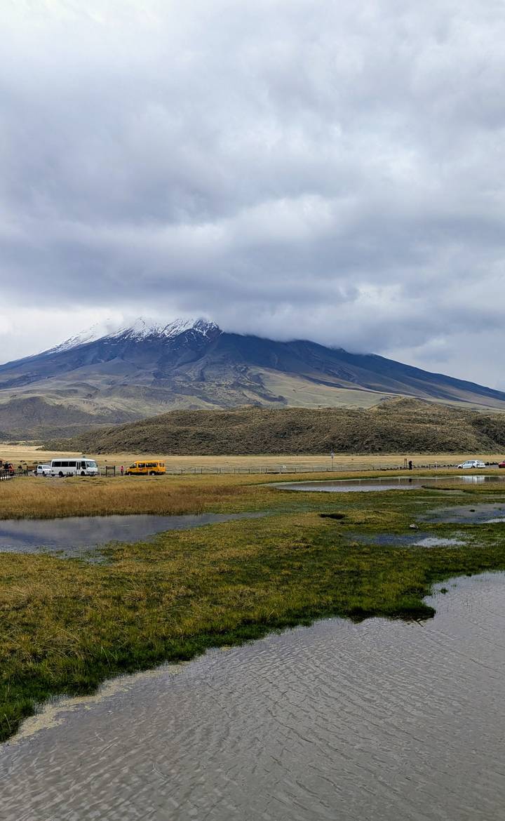 Montagnes aux sommets enneigés et un premier plan herbeux.