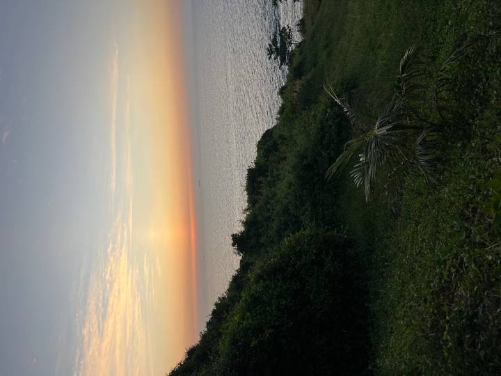 Vista del atardecer sobre el océano con vegetación en primer plano.
