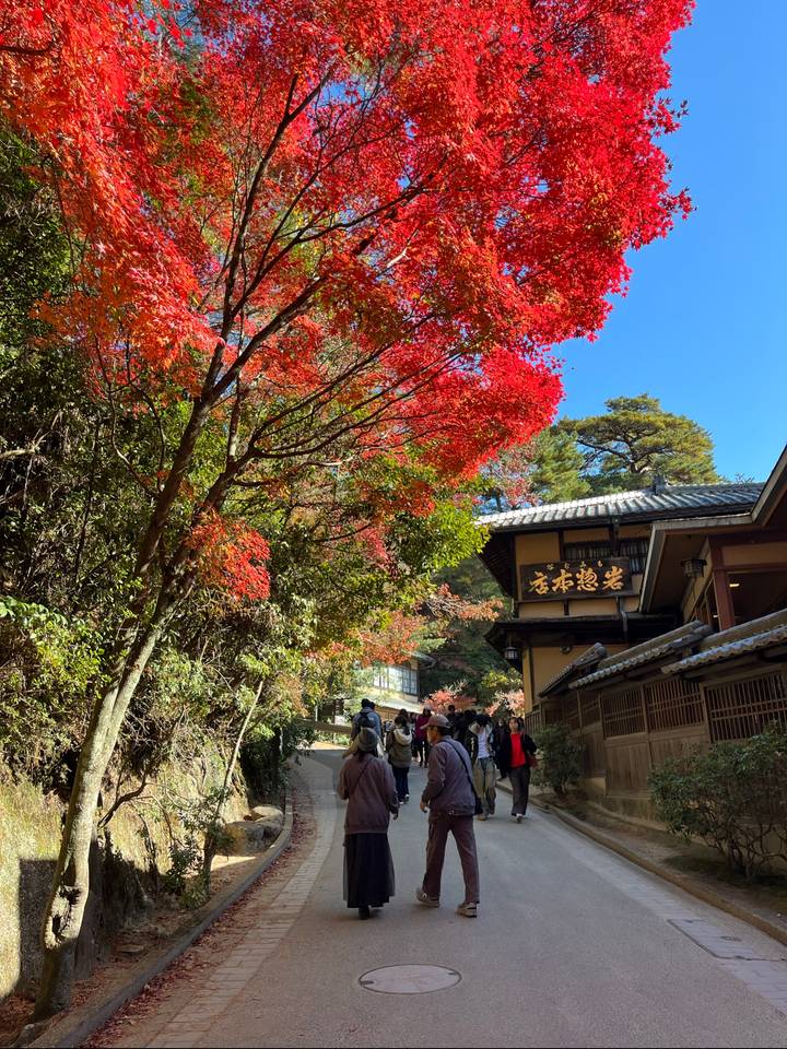 Bâtiment japonais traditionnel parmi les feuilles d'automne et un panneau en japonais.