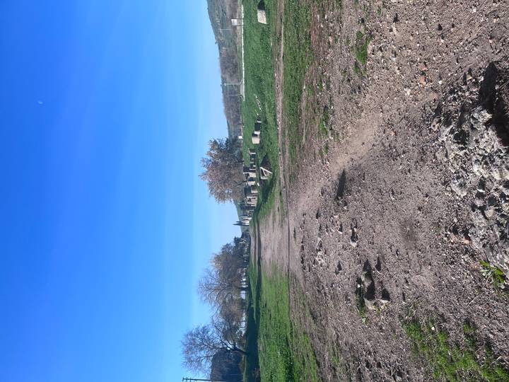 Un sendero que conduce a través de un paisaje herboso con ruinas.