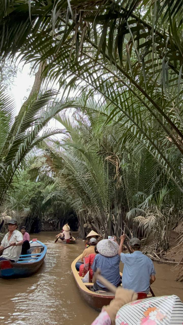 Feuillage dense de la jungle avec un accent sur la verdure.