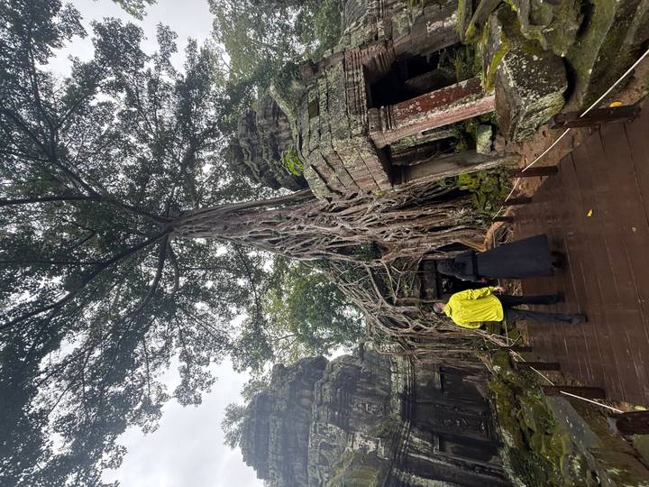 Deux personnes marchant vers des racines d'arbres complexes entrelacées autour de ruines.