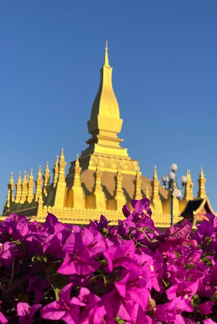 Gouden tempelspits met paarse bloemen op de voorgrond.