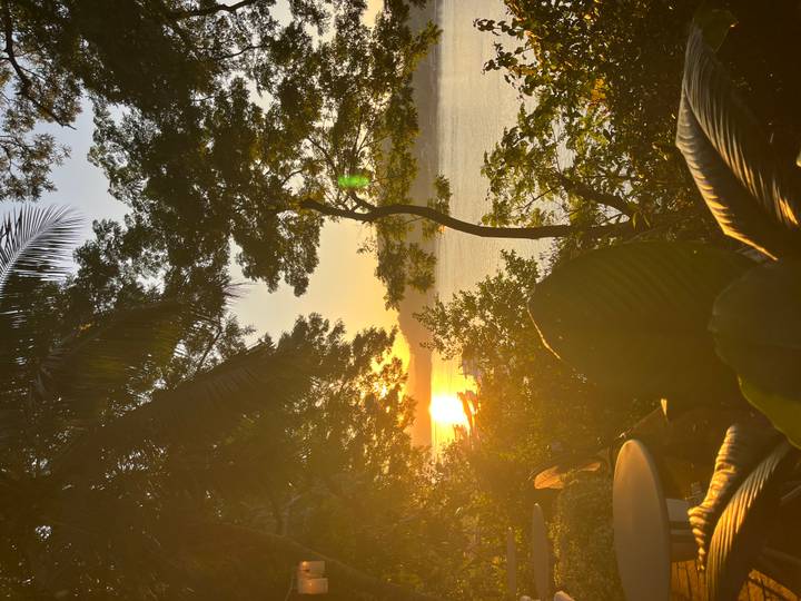 Schilderachtig uitzicht op een rivier bij zonsondergang met bomen die afsteken tegen de lucht.