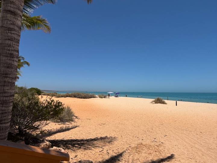 Zandstrand met vegetatie en kalme zee.