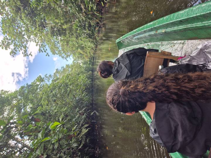 Boottocht door weelderig groen met mensen aan boord.