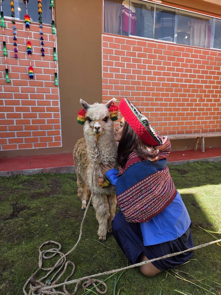 Woman kissing an alpaca.