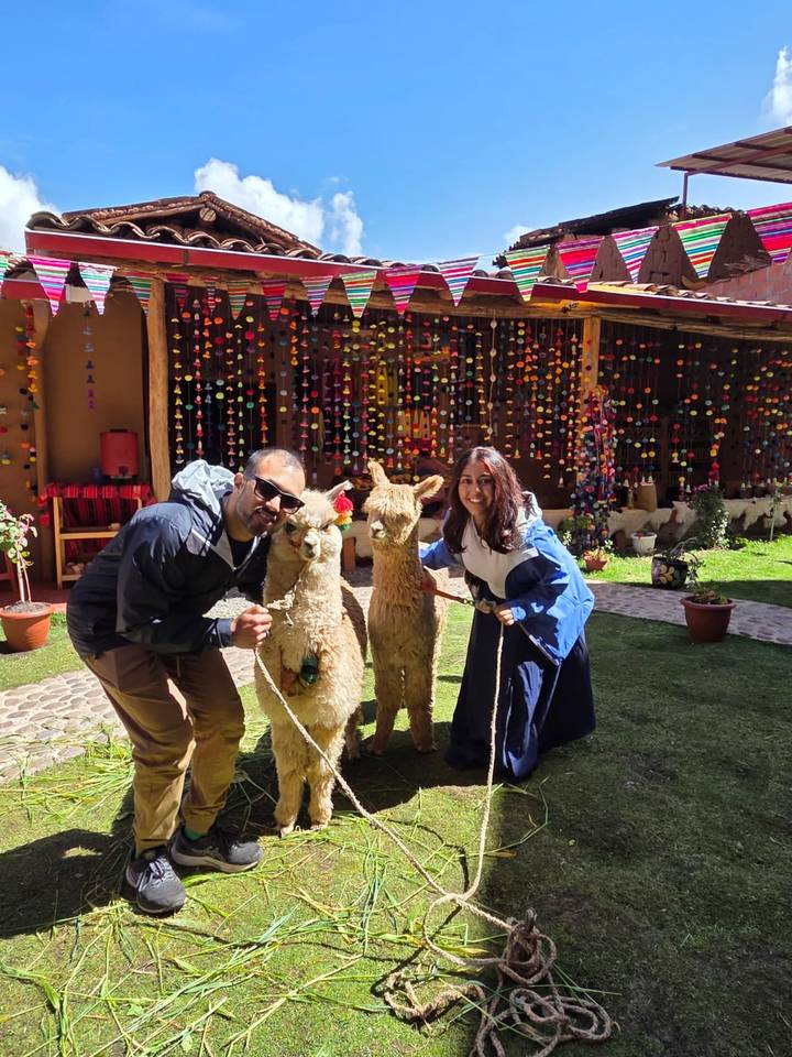 Couple with two alpacas in a colorful setting.