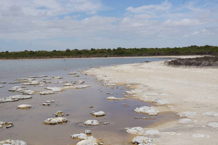 View of a lake with rocky shore.