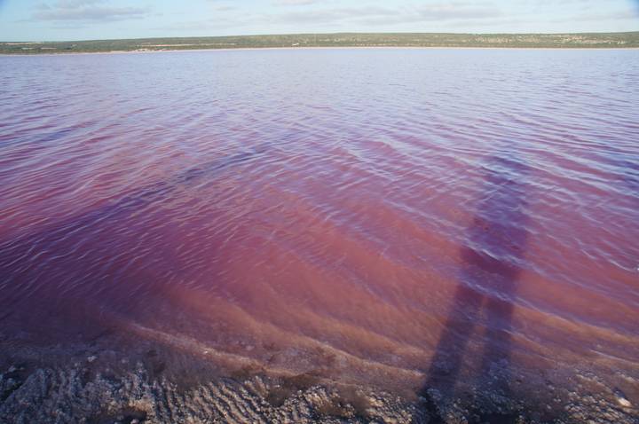 Red-hued lake under a clear sky.