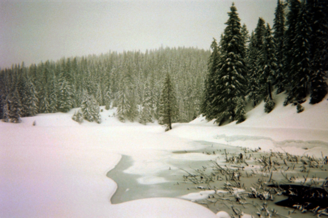 Un lac gelé entouré d'arbres enneigés.