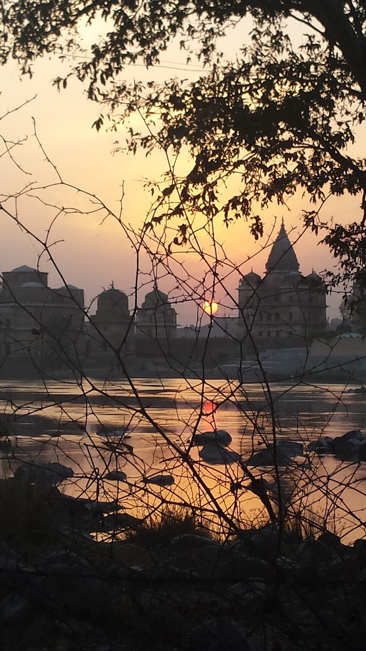 Silhouetted cenotaph temples of Orchha across a river framed by branches at sunset.