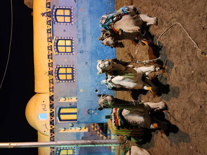 Three camels resting in front of a colorfully painted building at night.