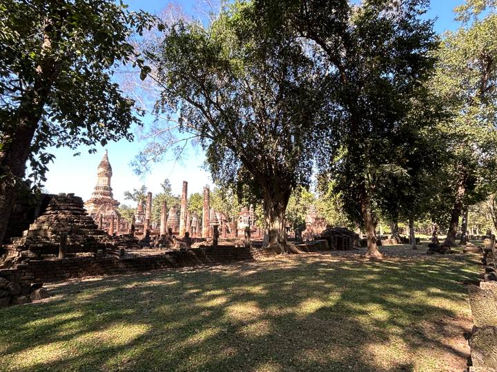 Árboles que rodean ruinas antiguas creando una atmósfera serena.
