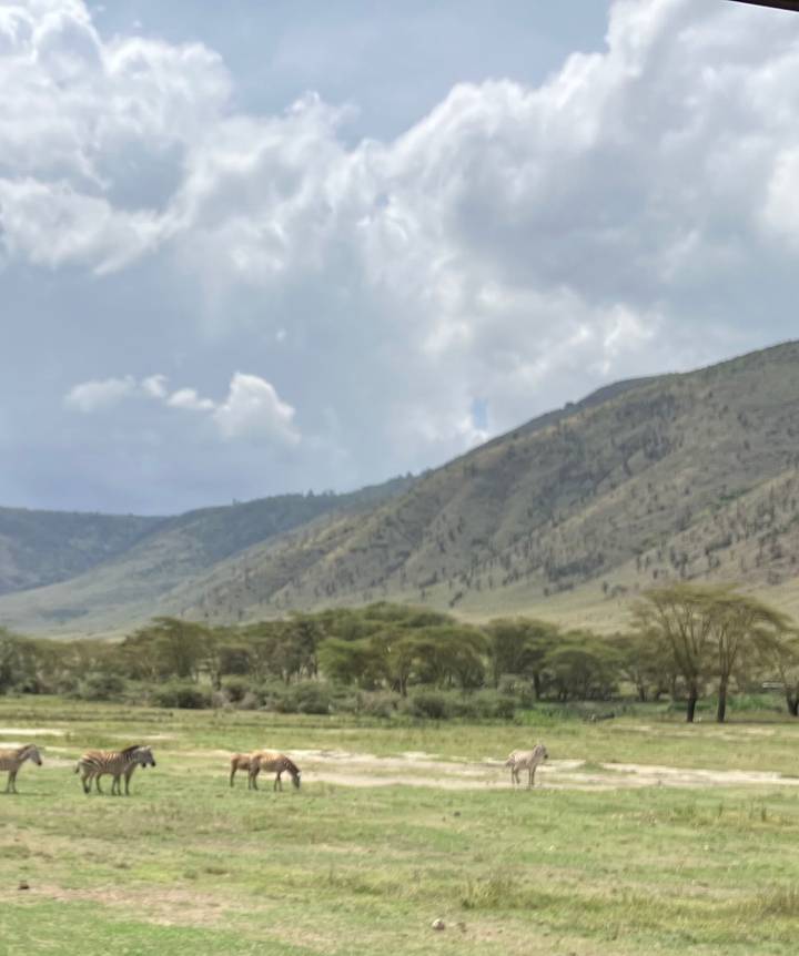 Blurry landscape view with mountains and trees.
