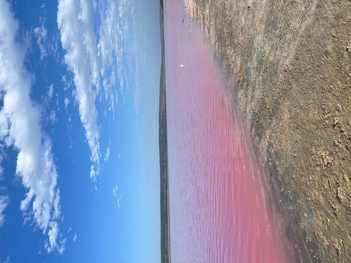 Pink lake with a clear blue sky.
