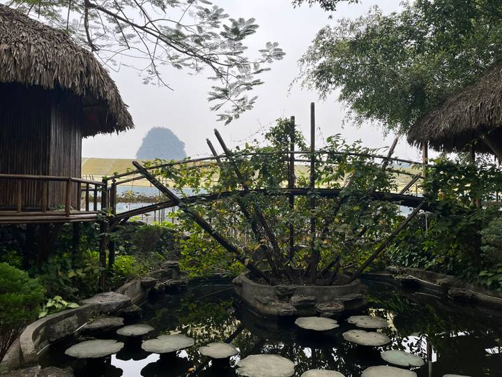 Jardin avec un étang et un pont dans un cadre luxuriant.