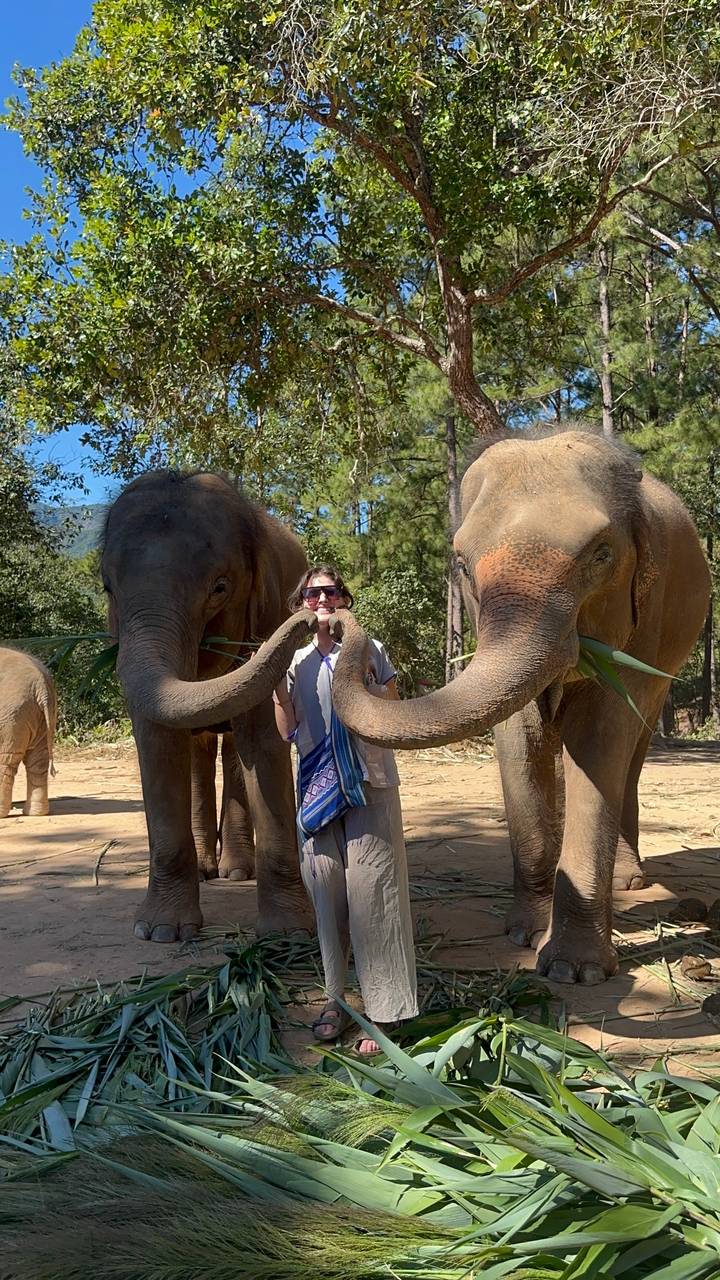 Personne debout avec deux éléphants dans un cadre naturel.