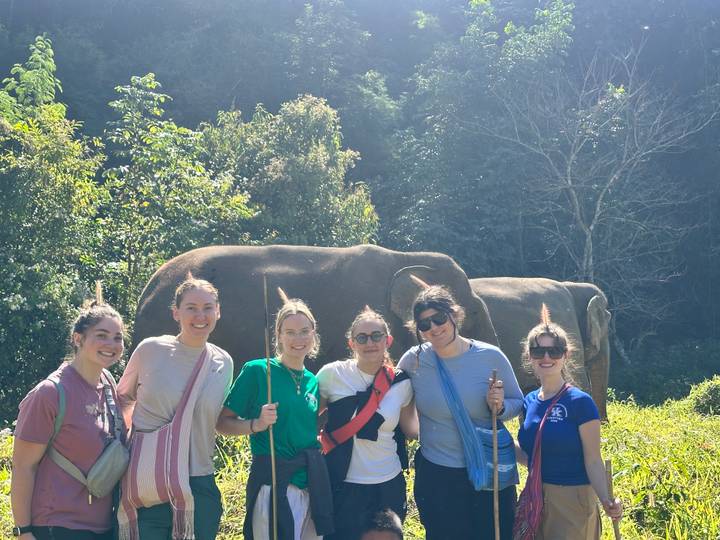 Groupe de personnes avec des éléphants dans une zone forestière.