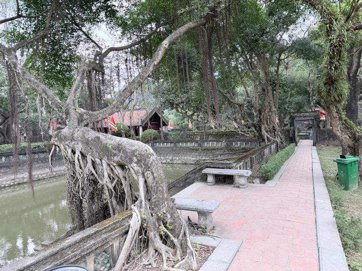 Jardín con árboles grandes y sendero pavimentado cerca del agua.
