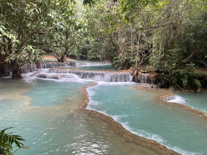 Cascades turquoise entourées de forêt.