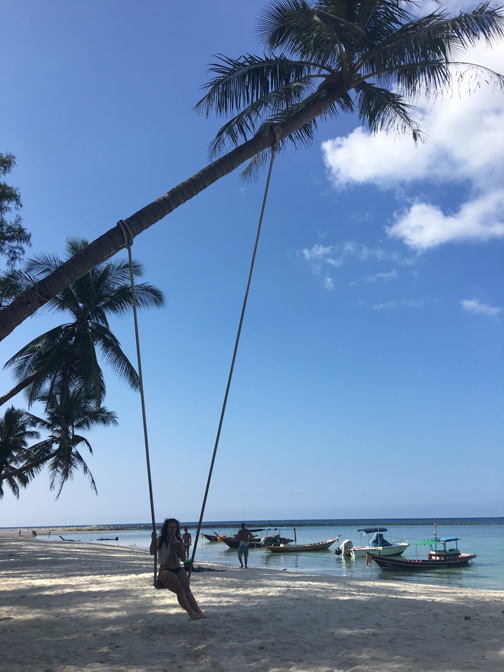 Upward view of a palm tree and ropes of a beach swing against a clear blue sky.
