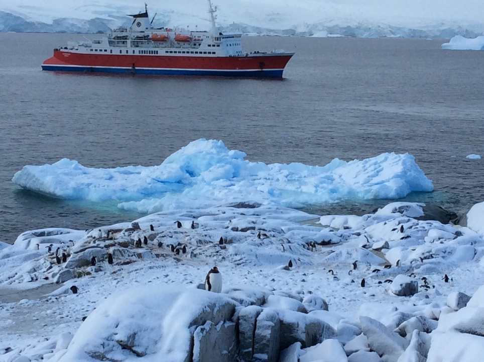 Navire en mer avec des pingouins sur le rivage glacé.