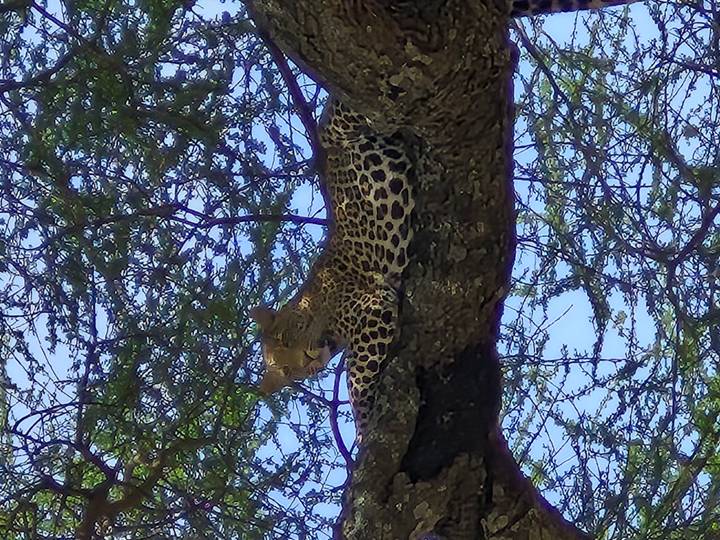 Un arcoíris sobre tiendas de campaña en un paisaje desértico.