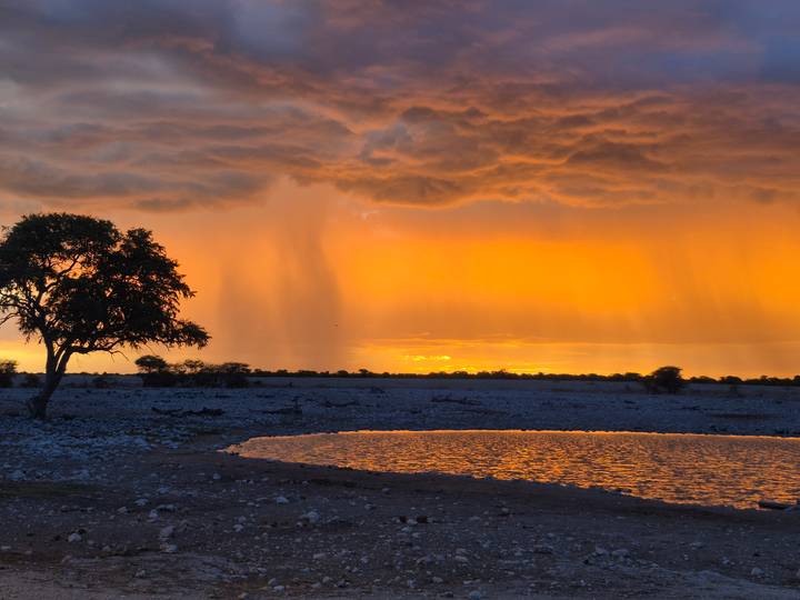 Atardecer dramático sobre un paisaje de sabana con un abrevadero.