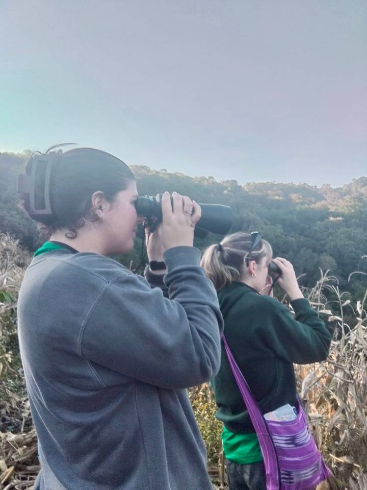 Des personnes utilisant des jumelles pour regarder une vue lointaine.
