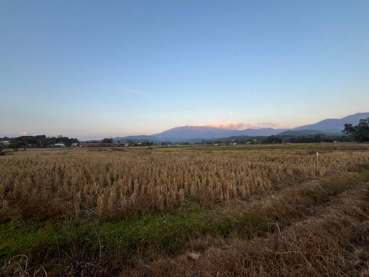 Paysage avec un champ et des montagnes au coucher du soleil.