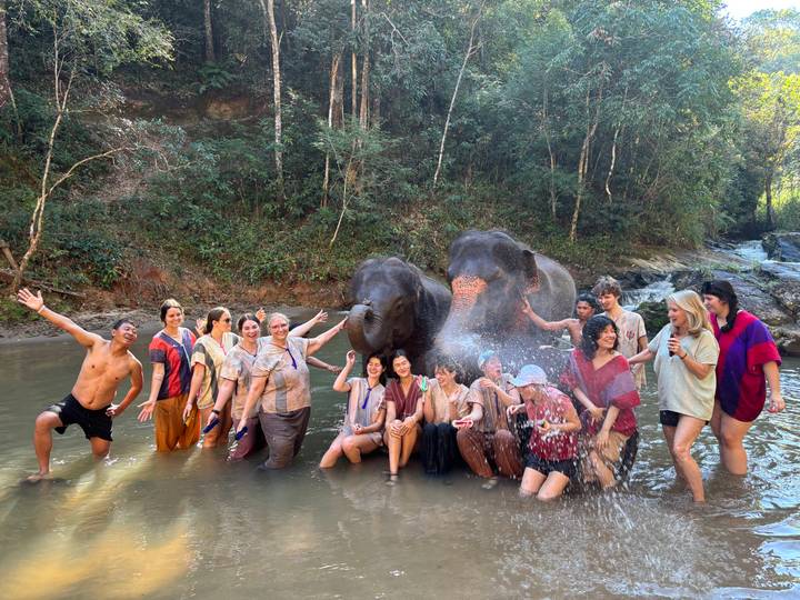 Groupe de personnes avec des éléphants dans une rivière.